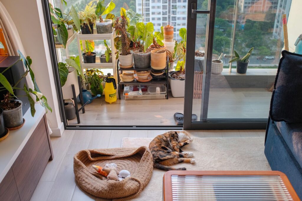How to Choose the Right Pet for Your Apartment? A Complete Guide for 2026. how to choose the right pet for your apartment