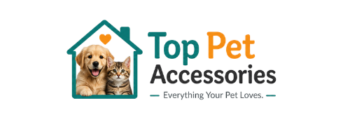 transparent logo