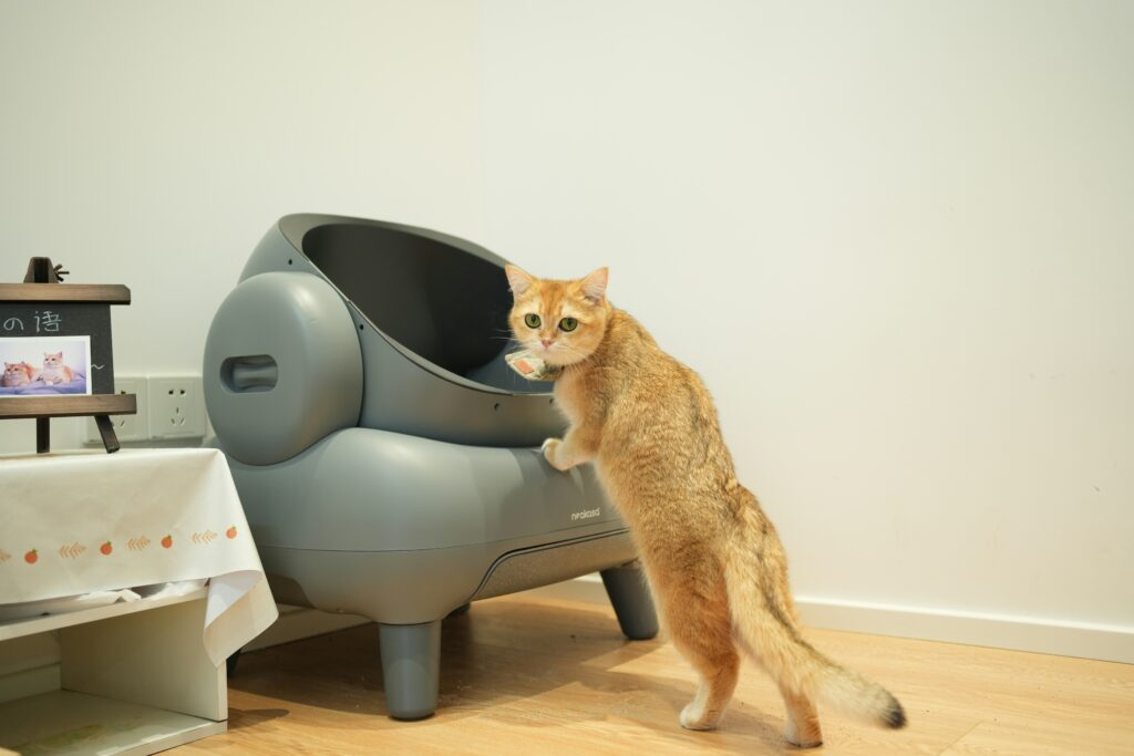 best cat litter boxes under $50