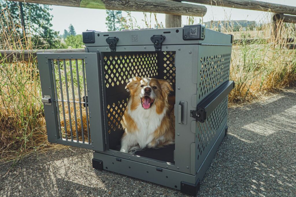 best dog crates under $50